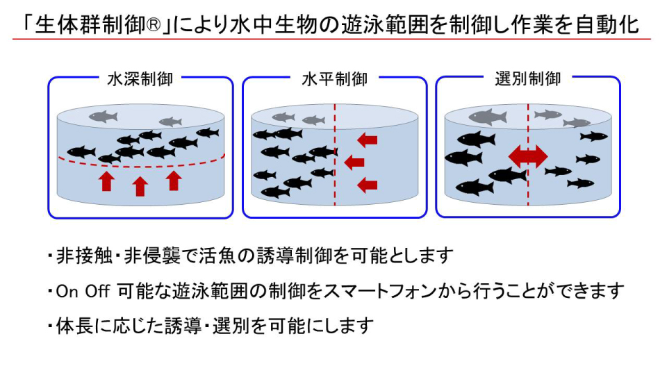 生体群制御®による活魚の移動を遠隔から自動化するイメージ