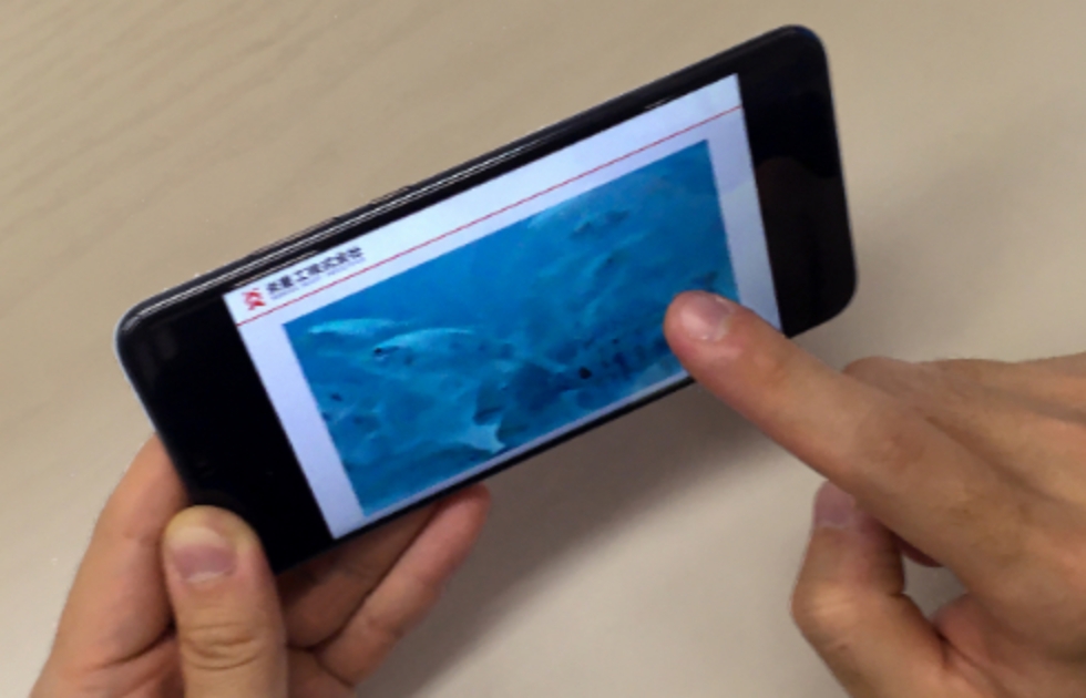 スマートフォンで水中カメラの映像を確認している様子